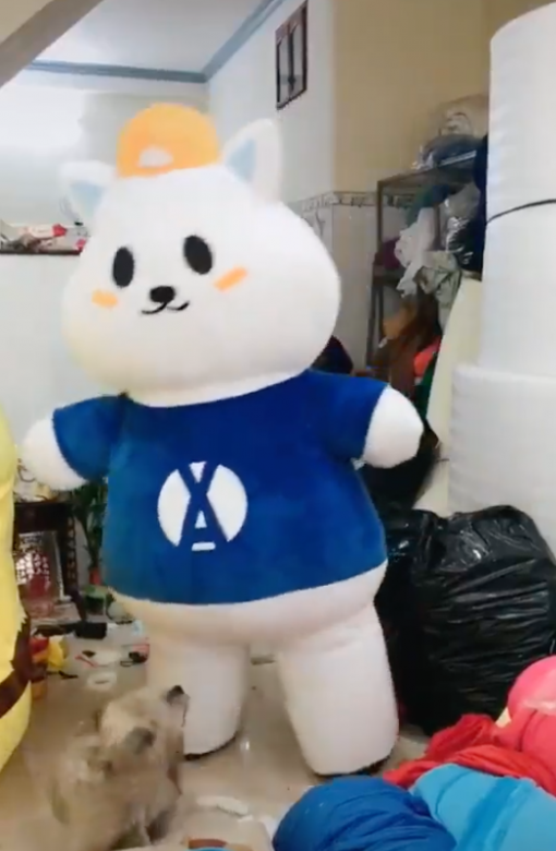 mascot soc trang