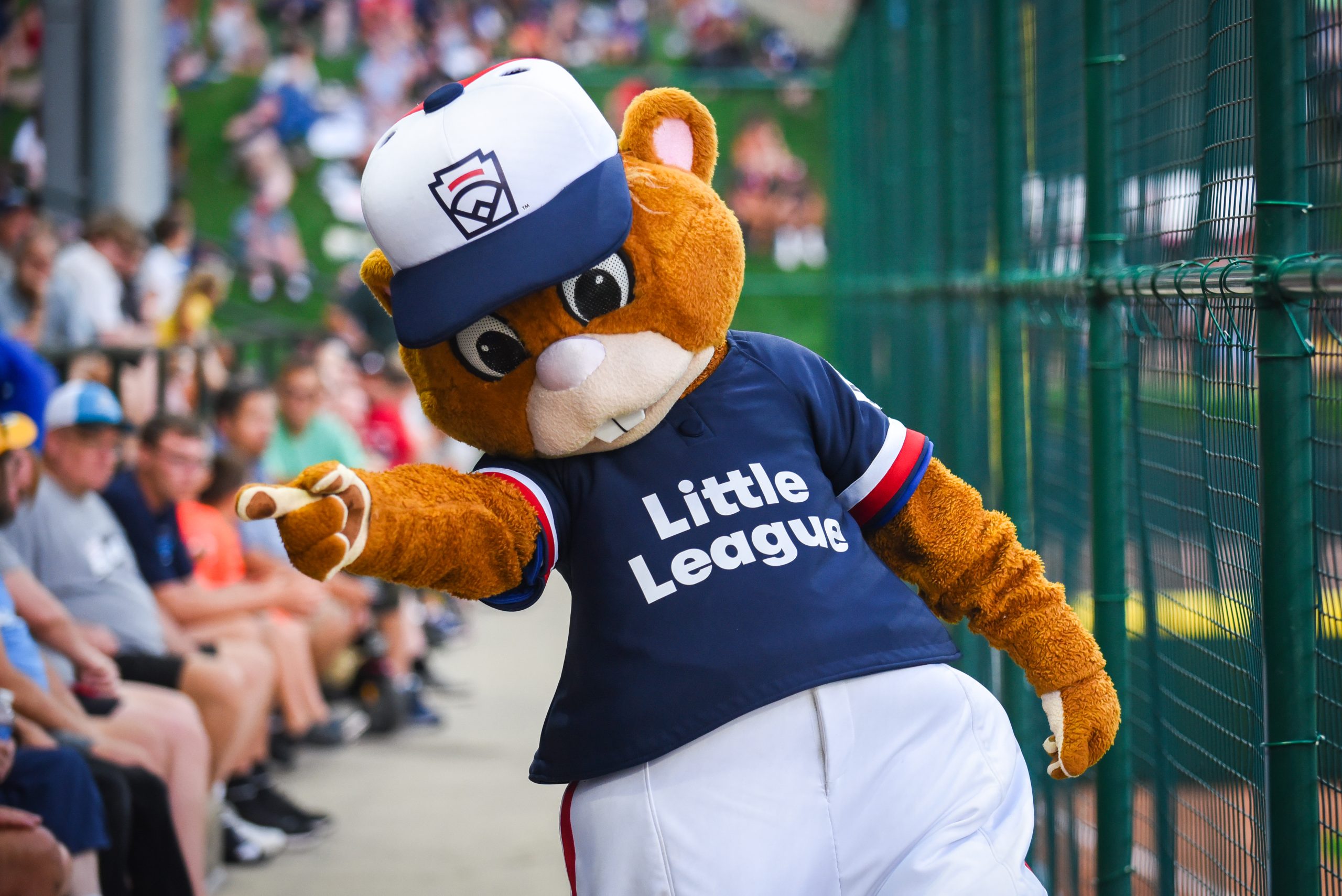 Dugout Earns Second-Straight Mascot Hall of Fame Award for Greatest  Community Impact - Little League