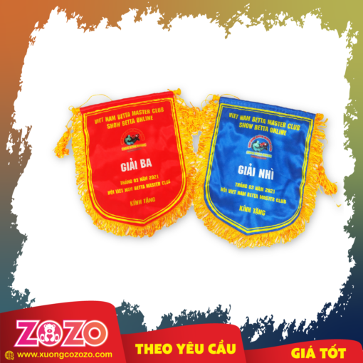 Co luu niem Giai dau