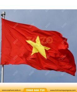 Cung cấp sỉ cờ Việt Nam số lượng lớn 7 Đặt mua cờ tổ quốc theo yêu cầu in ấn chuyên nghiệp